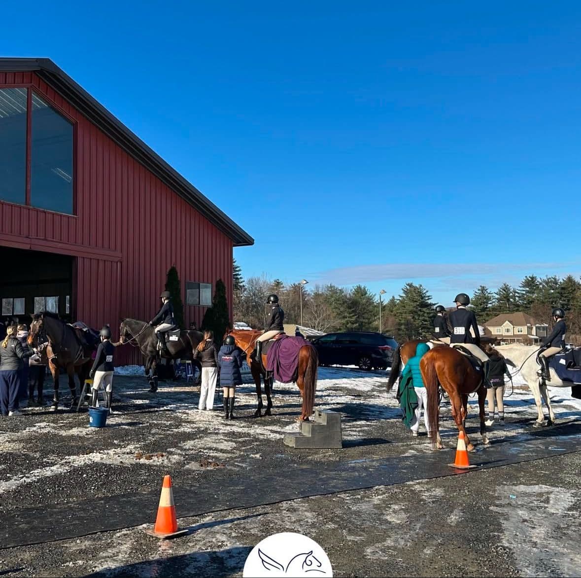 IEA HORSE SHOW AT VALKYRIE: A DAY OF EXCELLENCE AND COLLABORATION